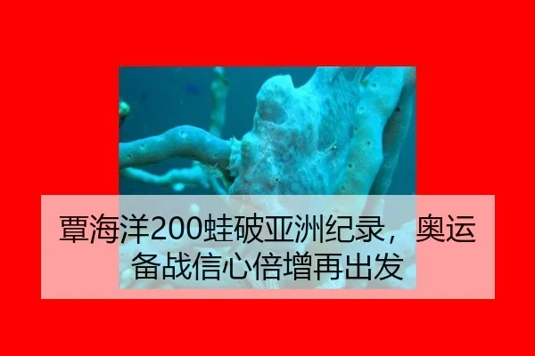 覃海洋200蛙破亚洲纪录，奥运备战信心倍增再出发